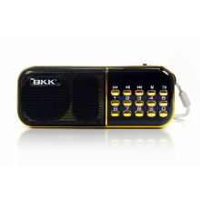 Радиоприёмник с FM USB MicroSD BKK B837 радио на аккумуляторе 18650 Радиоприёмник с FM USB MicroSD BKK B837 радио на аккумуляторе 18650