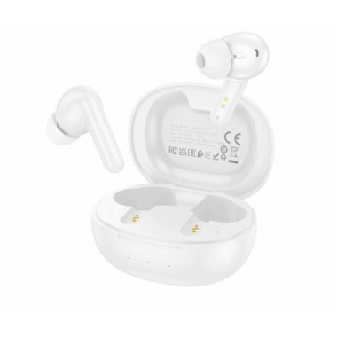 Беспроводные Bluetooth наушники с микрофоном и кейсом Borofone BW48 Enlighten Белые