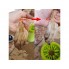 Лапомойка - Стакан для мытья лап DOG FOOT WASH CUP – очиститель лап силиконовый – Чаша для мытья лап собакам и кошкам