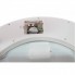 Электронные Напольные весы Domotec 2003 до 180 кг