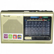 Портативный радиоприёмник MP3 USB Golon RX 6622 Золото