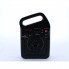 Портативный радиоприемник Golon RX-498BT bluetooth power bank