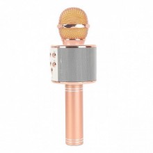 Беспроводной микрофон караоке UTM WS858 с чехлом Gold