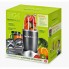 Блендер Bullet UTM Original 600W Серый